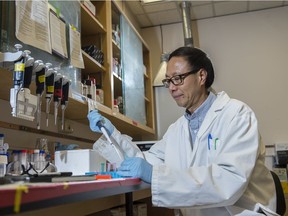 Chemist Chris Le in his lab on campus. The University of Alberta has received funding for four different projects relating to Coronavirus research on March 6, 2020.