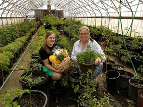 Tam Andersen (right) and her daughter Laurel Andersen (left) in the tomato greenhouse at Prairie Garden farm, northwest of Bon Accord, Alberta, where they are running a community supported agriculture program.
