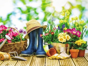 Gardening is one of the best things you can do during the downtime associated with this period of self-isolation.