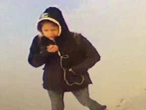 Edmonton police released a photo of a female suspect captured on CCTV  in the area of 92 Street and 144 Avenue at about 8 p.m. Monday, March 30, 2020.