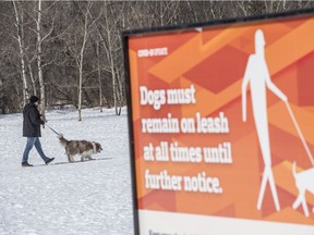 The City of Edmonton has closed Alex Decoteau dog park downtown due to the COVID-19 pandemic on April 4, 2020. Dog owners must now also temporarily walk their dogs on leash in the bigger off leash parks like Buena Vista near the zoo.