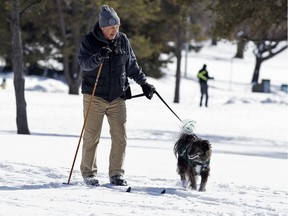 A cross-country skier and their dog make their way through Hawrelak Park, in Edmonton Thursday April 2, 2020.