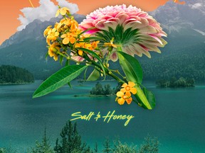 King of Foxes sophomore album Salt & Honey.