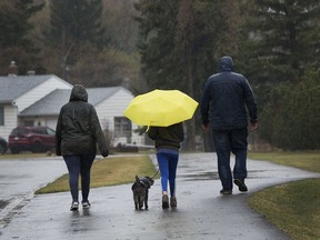 Pedestrians walk along Strathearn Crescent through the rain on Monday, May 4, 2020, in Edmonton.