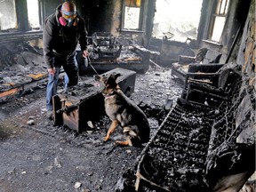 Eza waiting for her handler, Jeff Lunder, to initiate a search of a residential structure fire to check for any indication of ignitable liquid. Trained dogs can detect fire accelerants such as gasoline in quantities as small as one billionth of a teaspoon, according to new research by University of Alberta chemists.