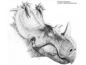 This is Coronasaurus, by artist Julius T. Csotonyi, for the Royal Tyrrell Museum.