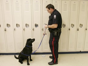 Edmonton Police Service school resource officer Const. Doug Green retrieves a treat for his one-year-old drug-sniffing dog Ebony after she located drugs hidden in a small electronic device during a demonstration of her skills at Harry Ainlay High School in Edmonton, Alta., on Jan. 10, 2005.
