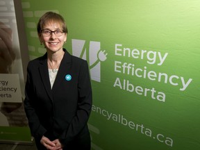 Monica Curtis is introduced as the new CEO of Energy Efficiency Alberta at the Dominion Centre in Calgary, Alta., on Tuesday, March 28, 2017.