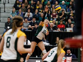 University of Alberta Pandas' Erin Corbett (15) scores the final point on the University of Toronto's Varsity Blues during a U Sports Volleyball Championship Quarterfinal game at Saville Centre in Edmonton, on Friday, March 15, 2019.