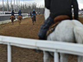 The racing horses are still on the track getting their daily exercise at the Century Mile Racetrack and Casino in Edmonton, April 17, 2020.