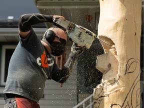 Chainsaw artist Kelly Davies carves a spruce tree in Lynn Audet's backyard located in Sherwood Park, on June 4, 2020.