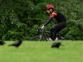 A cyclist passes a murder of crows on a ride at Hawrelak Park with their mother in Edmonton, on Sunday, June 14, 2020.