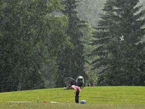 People taking cover under their umbrellas and among the trees as a heavy downpour rolled through Edmonton, June 23, 2020.