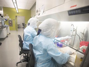 Scientists work in VIDO-InterVac's (Vaccine and Infectious Disease Organization-International Vaccine Centre) containment level 3 laboratory, where the organization is currently researching a vaccine for novel coronavirus, at the University of Saskatchewan in Saskatoon.
