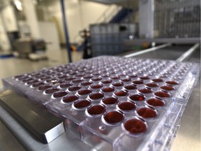 A tray full of cannabis gummies sits at the end of the depositor machine as Dynaleo is opening the largest cannabis gummy production facility in the country, in Nisku, June 25, 2020.