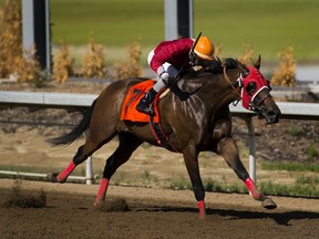 Rico Walcott rides Chaska to a first-place finish in the first race on opening day of the season for Century Mile Racetrack on Sunday, June 21, 2020. No fans were allowed in the facility, just jockeys, horses and trainers.