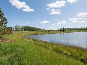 In Creekwood Collections, you can find what works for you. This South Edmonton neighbourhood has all the amenities of a flourishing, mature community, but you can build or buy a brand new home.