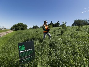 Catherine Falk is community greening coordinator for the city of Edmonton.