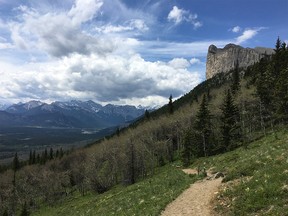 The hiking trail on Yamnuska in Alberta's Bow Valley Wildland Provincial Park, part of Kananaskis Country, is shown in June 2017.