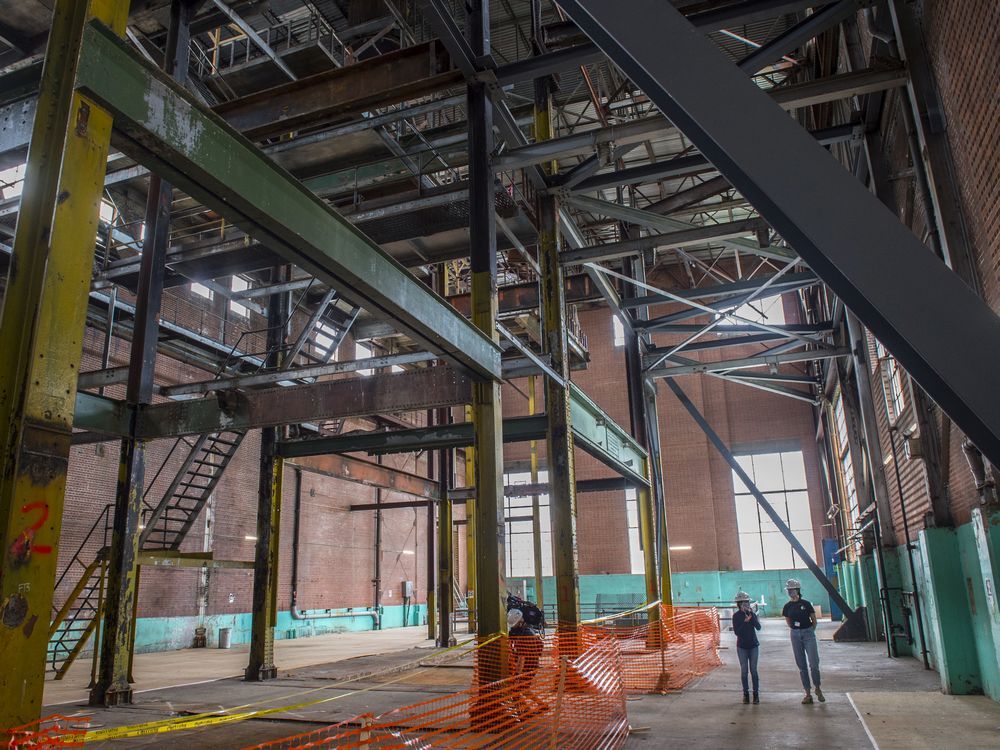 David Staples Mysteries revealed of Edmonton's river valley colossus