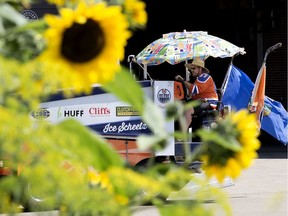 CISN-FM radio host Chris Scheetz is framed by sunflowers as he arrives in Edmonton Thursday afternoon after driving a zamboni from Calgary to Edmonton as part of a fundraiser for the Edmonton Food Bank, in Edmonton Wednesday July 30, 2020.