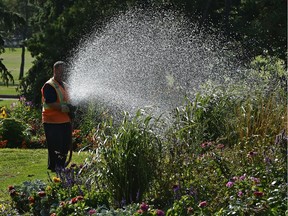 City worker Darren Slobinyk using a firehose style line attached to a water tanker truck, to water the flower beds at Hawrelak Park in Edmonton, August 13, 2020.