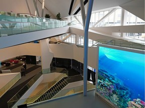 The Stanley A. Milner Library in downtown Edmonton officially re-opened on Thursday Sept. 17, 2020 after being closed since Dec.31, 2016 for extensive renovations.