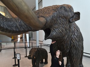Royal Alberta Museum's Nancy Nickolson, family programs coordinator, standing next to a mammoth replica in Edmonton, September 13, 2020.
