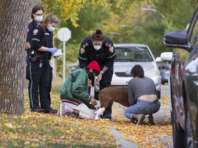 Paramedics help an injured dog following a dog attack near 108 Street and 75 Avenue, in Edmonton Monday Sept. 21, 2020. Two other dogs were taken from a nearby home by animal control officers.