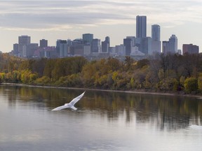 Coloured leaves are reflected in the North Saskatchewan River as the warm weather continues on Thursday, Oct. 1, 2020 in Edmonton.  Temperatures are expected to get to 21 C on the weekend.