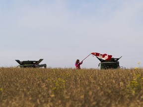 Heidi Van Boom , 7, waves a Canadian flag at the start of Share the Harvest's 18th annual harvest event as local farmers and supporters show up with 11 combines, along with various trucks and grain carts, to harvest a 295-acre canola field on Wednesday, Oct. 7, 2020, east of Gibbons. The crop will be sold and the proceeds will be donated to the Canadian Foodgrains Bank to work towards their vision of a world without hunger.