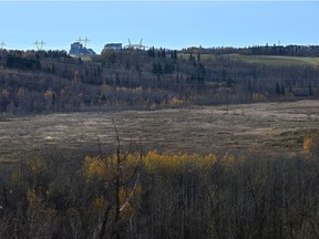 This open field near the E.L. Smith plant is the proposed site for the EPCOR solar farm In Edmonton, October 13, 2020. Ed Kaiser/Postmedia