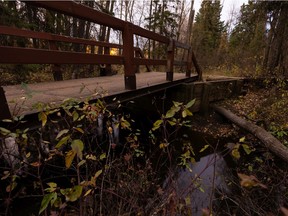 One of the bridges slated for replacement is seen along Mill Creek Ravine in southeast Edmonton, on Tuesday, Oct. 13, 2020.