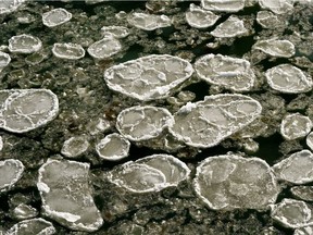 Ice floes on the North Saskatchewan River in Edmonton on Sunday October 25, 2020.