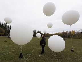 Shannon Ball inspects large light-filled balloons that are part of a Catalyst Theatre production that will take place on Sunday evening in Victoria Park in Edmonton. Shannon is part of the security detail that is working the event which will include 50 performers and an 8 person creative team. One hundred tickets have been sold to the event which includes threes stages and a computerized light show.   Greg Southam-Postmedia