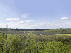 A rendering of the proposed solar farm at the E.L. Smith water treatment centre. This view is looking west from a recreational trail across the river.