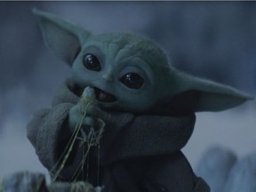 Don't eat other babies, Baby Yoda!