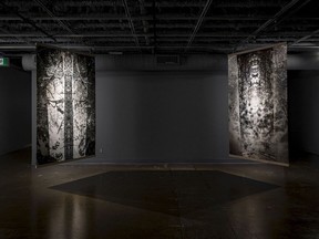 Dwayne Martineau, "One Dead Tree #2" (left), 2012, and "Propagation," 2020, backlit film print, 80" x 53.5” each.