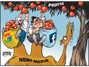 Google and Facebook pick profits off the News Media's back. (Cartoon by Malcolm Mayes)
