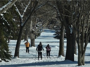 As the sun came out in the afternoon, a group of cross country skiers head up the groomed trail at Victoria Park Golf Course in Edmonton, November 12, 2020.