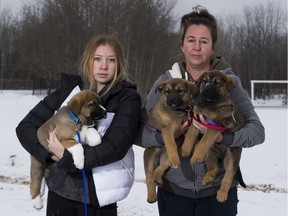 Terra MacLean, right, SCARS training coordinator, with her daughter Laila, left, and three foster dogs, Zane, Abby and Josie.