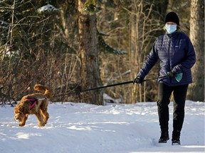 A woman walks with her dog at Hawrelak Park in Edmonton on Friday November 20, 2020.