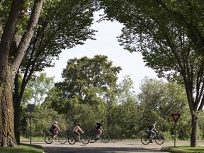 :The ability to easily bike and walk helps Edmonton’s alternative transport ranking in a study by real estate brokerage Zolo.
