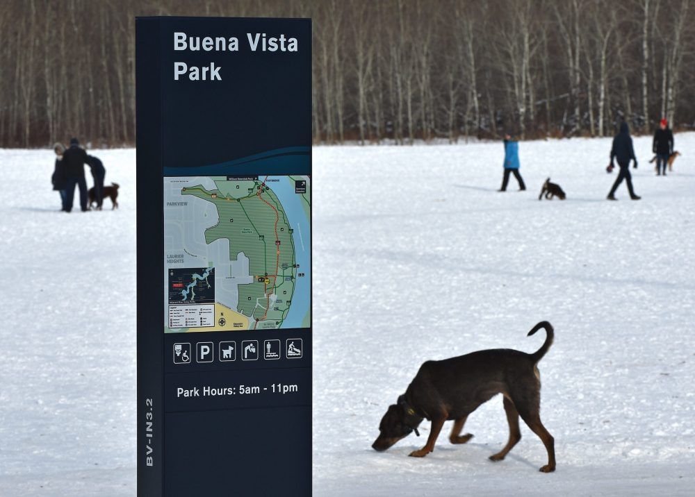 Poisonous red powder in Buena Vista dog park was used to mark race
