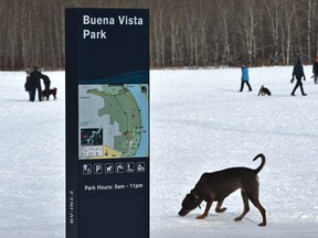 Edmonton police are investigating a poisonous substance that was found in 36 spots in the Buena Vista dog park after a woman reported her dog got ill from ingesting a red powder and needed vet care on Sunday,  Nov 22, 2020.