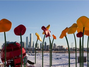 Giant plastic flowers are seen in a new park with downtown seen in the distance in the Blatchford Development in Edmonton, on Wednesday, Dec. 2, 2020.