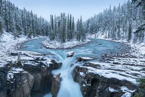 Sunwapta Falls, about 56 km south of the town of Jasper.