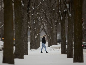 A pedestrian makes their way through the snow near 121 Street and 103 Avenue, in Edmonton Thursday Dec. 17, 2020.