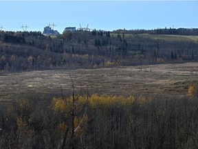 This open field near the E.L. Smith plant is the proposed site for the EPCOR solar farm In Edmonton, October 13, 2020.