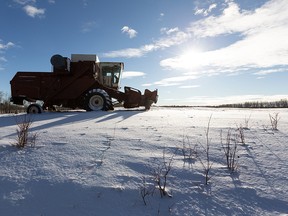 An old International combine rests in a snowy field south of Pigeon Lake outside of Edmonton, on Monday, Jan. 18, 2021. Photo by Ian Kucerak